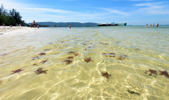 海星沙灘 Starfish Beach